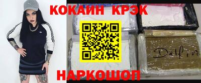крисы Моздок