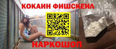 крисы Моздок