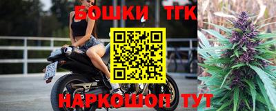 крисы Моздок