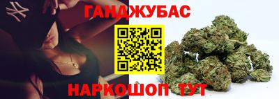 крисы Моздок