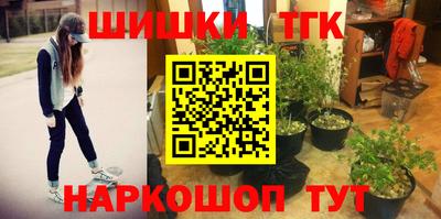 крисы Моздок