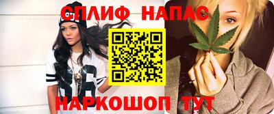 крисы Моздок