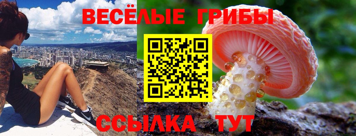 Псилоцибиновые грибы мицелий  Псилоцибиновые грибы Magic Shrooms  что такое наркотик  Вход с VPN  Чапаевск 