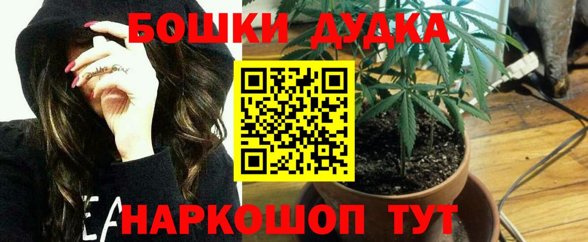 Бошки марихуана OG Kush  Вход с VPN  Чапаевск  Бошки Шишки Bruce Banner 
